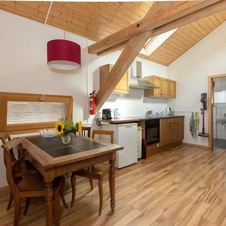 Guesthouse La Moliere, 3 Bedrooms, Private House, Horse Farm, Full Nature Murist 外观 照片