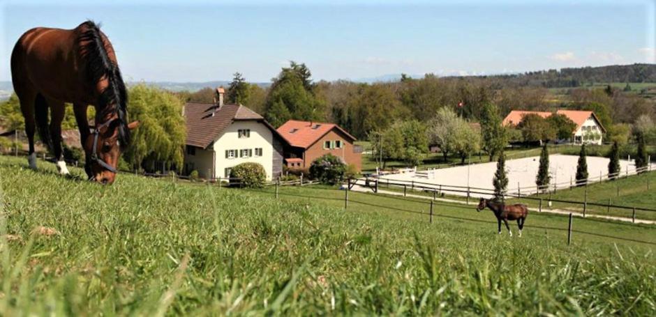 Guesthouse La Moliere, 3 Bedrooms, Private House, Horse Farm, Full Nature Murist 外观 照片