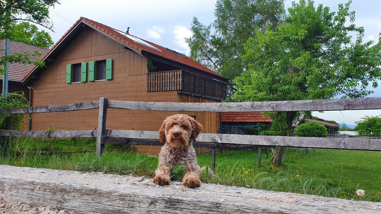 Guesthouse La Moliere, 3 Bedrooms, Private House, Horse Farm, Full Nature Murist 外观 照片
